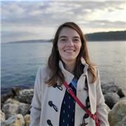 Insegno matematica alle superiori, impartisco lezioni private per il recupero delle insufficienze o per potenziamento